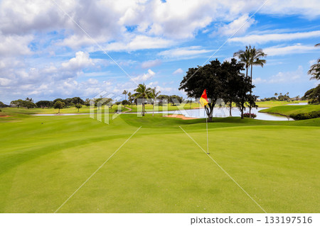 Hawaii (Oahu) Holidays (Golf Life) Kapolei No. 14 133197516