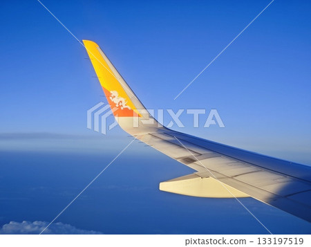 Wings of Bhutan Airlines Wings of Bhutan Airlines 133197519