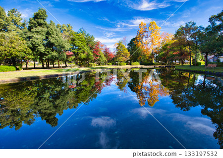 Autumn at Culture Park Autumn at Culture Park 133197532