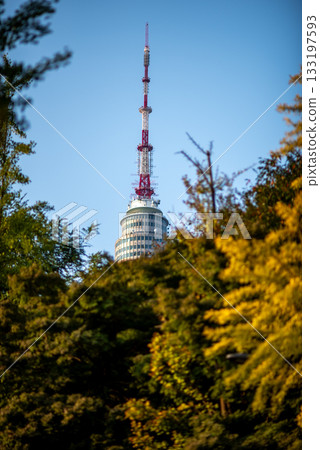 Namsan Seoul broadcasting and observatory tower rising above park treeline in Seoul, South Korea Namsan Seoul broadcasting and observatory tower rising above park treeline in Seoul, South Korea 133197593