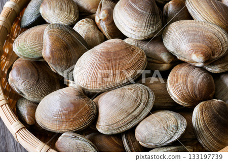 Fresh clams from Hokkaido Fresh clams from Hokkaido 133197739