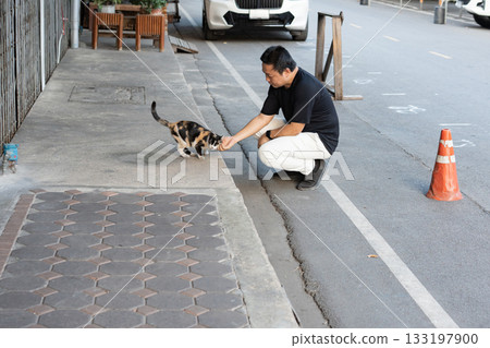 Street Kindness, a man kneels down to greet a cat on the sidewalk showing simple compassion and human connection in everyday life. 133197900