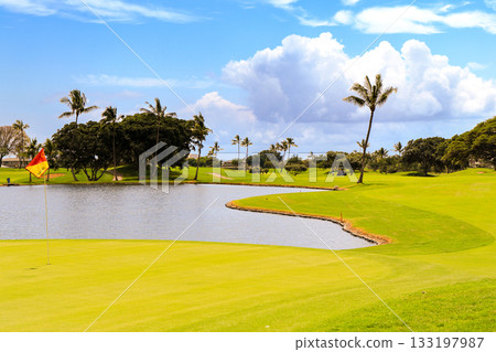 Hawaii (Oahu) Holidays (Golf Life) Kapolei No. 11 133197987