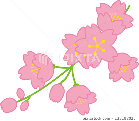 Simple and cute vector illustration of cherry blossoms and branches 133198023