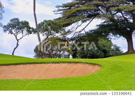 Hawaii (Oahu) Holidays (Golf Life) Kapolei No. 10 133198041