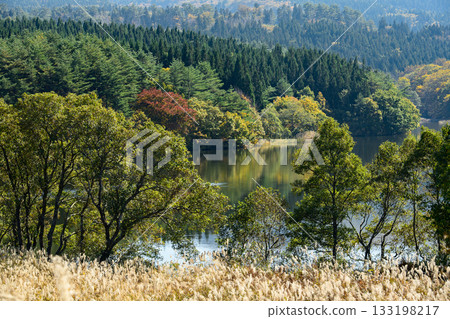秋田縣鳥海山腳下荻谷池的秋景 秋田縣鳥海山腳下荻谷池的秋景 133198217