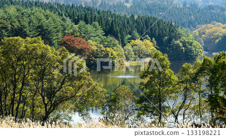 Autumn at the foot of Mt. Chokai, Ogiyachi Pond, Akita Prefecture Autumn at the foot of Mt. Chokai, Ogiyachi Pond, Akita Prefecture 133198221