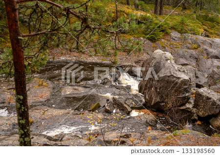 Serene forest stream flowing over rocky terrain surrounded by lush greenery Serene forest stream flowing over rocky terrain surrounded by lush greenery 133198560