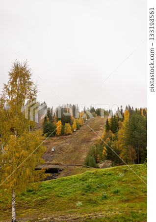 Scenic autumn landscape with forested hills and colorful trees 133198561