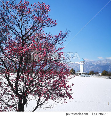 Park winter snow scene 133198658