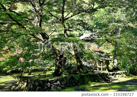 Daichiji Temple grounds 133198727