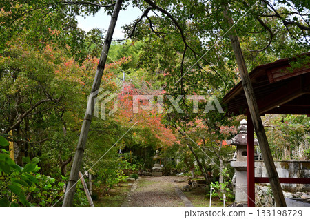 Approach to Shinchoji Temple 133198729