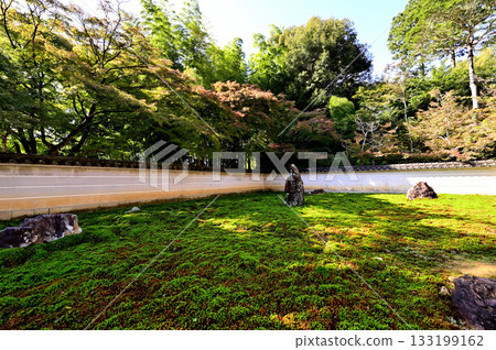 新長寺庭園 新長寺庭園 133199162