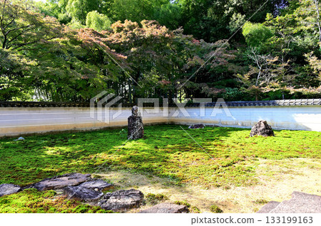 Shinchoji Temple Garden Shinchoji Temple Garden 133199163