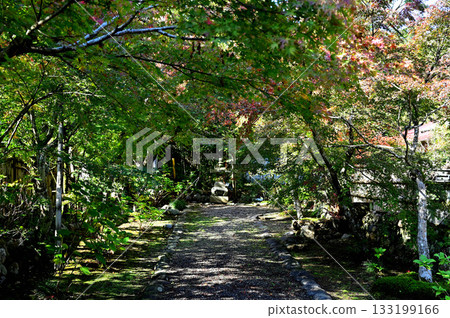前往新長寺的路 前往新長寺的路 133199166