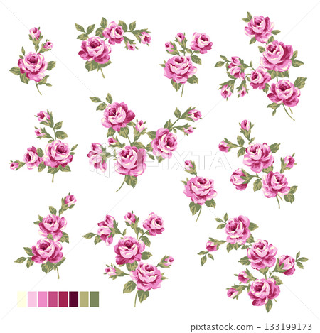 Beautiful rose vector illustration collection, 133199173