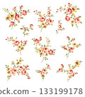 Beautiful rose vector illustration collection, 133199178