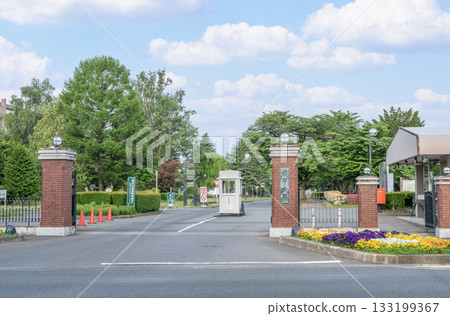 岩手縣盛岡市國立教育法人岩手大學 133199367