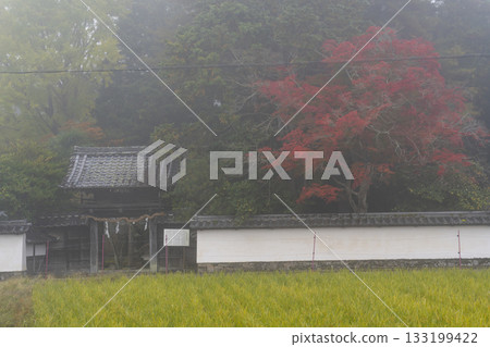 京都矢田天滿宮秋葉季 133199422