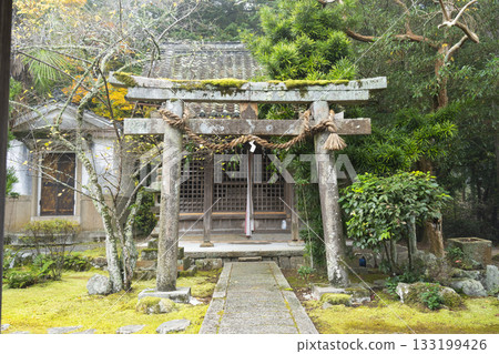 京都矢田天滿宮秋葉季 京都矢田天滿宮秋葉季 133199426