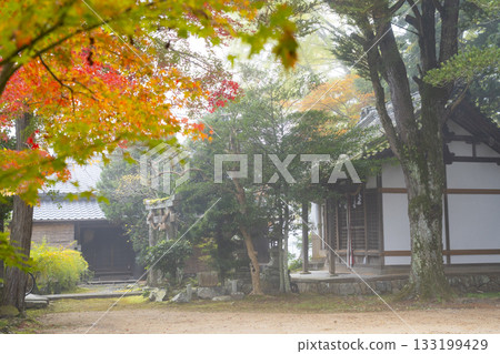 京都矢田天滿宮秋葉季 京都矢田天滿宮秋葉季 133199429