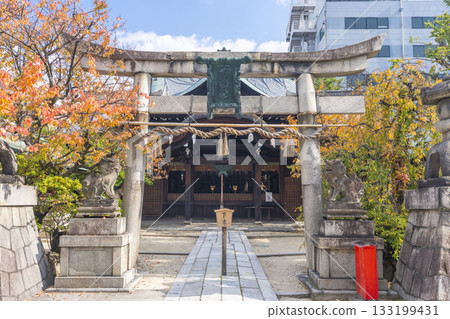 京都菅大神神社參拜殿秋葉季 133199431