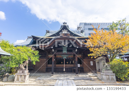 Kyoto Suga Daijin Shrine worship hall autumn leaves season 133199433