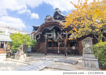 Kyoto Suga Daijin Shrine worship hall autumn leaves season 133199434