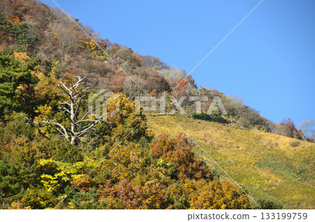 Autumn, Mt. Funakami, and random thoughts Autumn, Mt. Funakami, and random thoughts 133199759