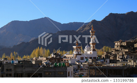 Golden poplar tree tops and Jama Masjid Mosque, Leh, India. Golden poplar tree tops and Jama Masjid Mosque, Leh, India. 133199786