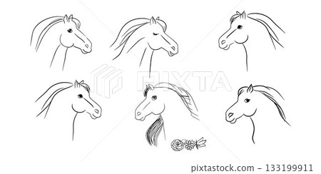 A collection of six elegant hand-drawn horse head illustrations in black lines. Each horse shows unique expression, style, and detail. Ideal for design, prints, education, and equestrian themes 133199911