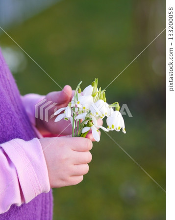Young child holding a bouquet of white flowers Young child holding a bouquet of white flowers 133200058