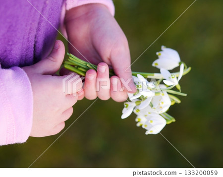 Child holding a bouquet of white flowers Child holding a bouquet of white flowers 133200059