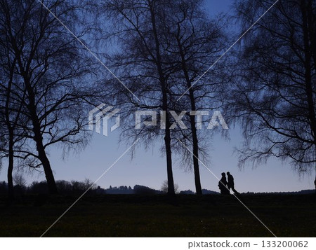 Couple is walking in a park at night 133200062