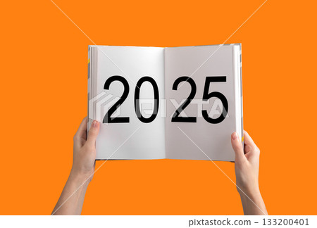 2025 business review. Annual summary concept symbolizing financial analysis, strategy, and 133200401