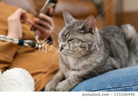 一隻可愛的貓咪在主人的腳邊休息——虎斑貓 一隻可愛的貓咪在主人的腳邊休息——虎斑貓 133200440