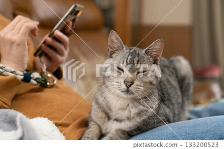 A cute cat relaxing on its owner's feet - Tabby cat 133200523