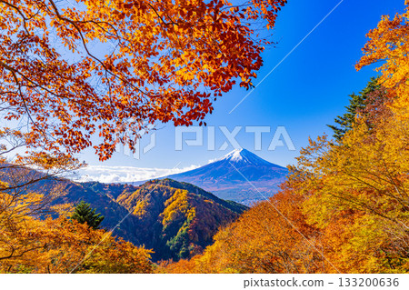 【山梨縣】從禦坂公路眺望富士山，正值秋季紅葉最盛時期 133200636