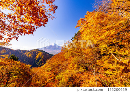 【山梨縣】從禦坂公路眺望富士山，正值秋季紅葉最盛時期 133200639