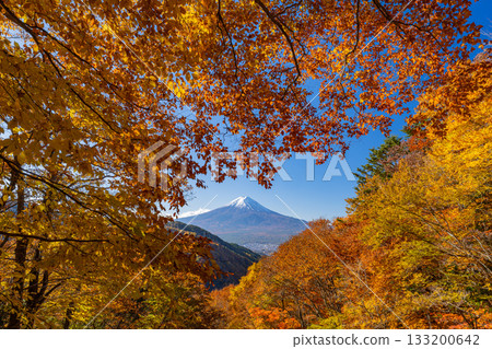 【山梨縣】從禦坂公路眺望富士山，正值秋季紅葉最盛時期 133200642