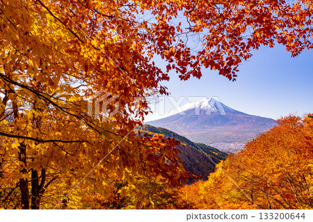 【山梨縣】從禦坂公路眺望富士山,正值秋季紅葉最盛時期 【山梨縣】從禦坂公路眺望富士山,正值秋季紅葉最盛時期 133200644