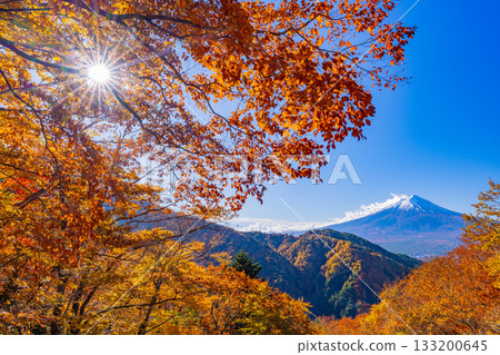 [Yamanashi Prefecture] Mount Fuji as seen from Misaka Road during the peak of autumn foliage 133200645
