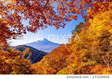 【山梨縣】從禦坂公路眺望富士山,正值秋季紅葉最盛時期 【山梨縣】從禦坂公路眺望富士山,正值秋季紅葉最盛時期 133200646