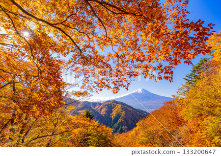 【山梨縣】從禦坂公路眺望富士山,正值秋季紅葉最盛時期 【山梨縣】從禦坂公路眺望富士山,正值秋季紅葉最盛時期 133200647