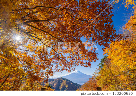 【山梨縣】從禦坂公路眺望富士山,正值秋季紅葉最盛時期 【山梨縣】從禦坂公路眺望富士山,正值秋季紅葉最盛時期 133200650