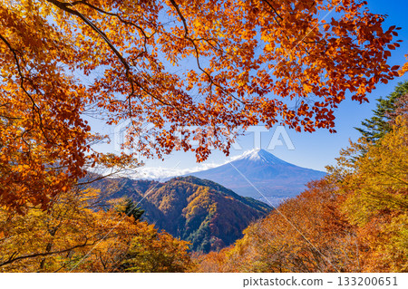 【山梨縣】從禦坂公路眺望富士山，正值秋季紅葉最盛時期 133200651
