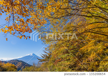 【山梨縣】從禦坂公路眺望富士山,正值秋季紅葉最盛時期 【山梨縣】從禦坂公路眺望富士山,正值秋季紅葉最盛時期 133200654