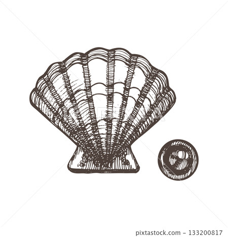 Vintage hand-drawn seashell with pearl illustration in engraving style. Detailed marine sketch perfect for beach designs, nautical branding, packaging, jewelry themes and ocean-inspired artwork. 133200817