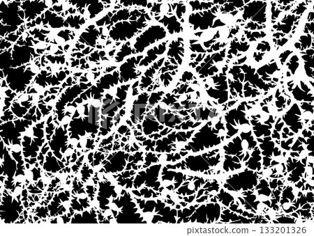 Branches of Blackthorn. Vector drawing 133201326