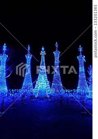 Illumination Sagae City 133201365